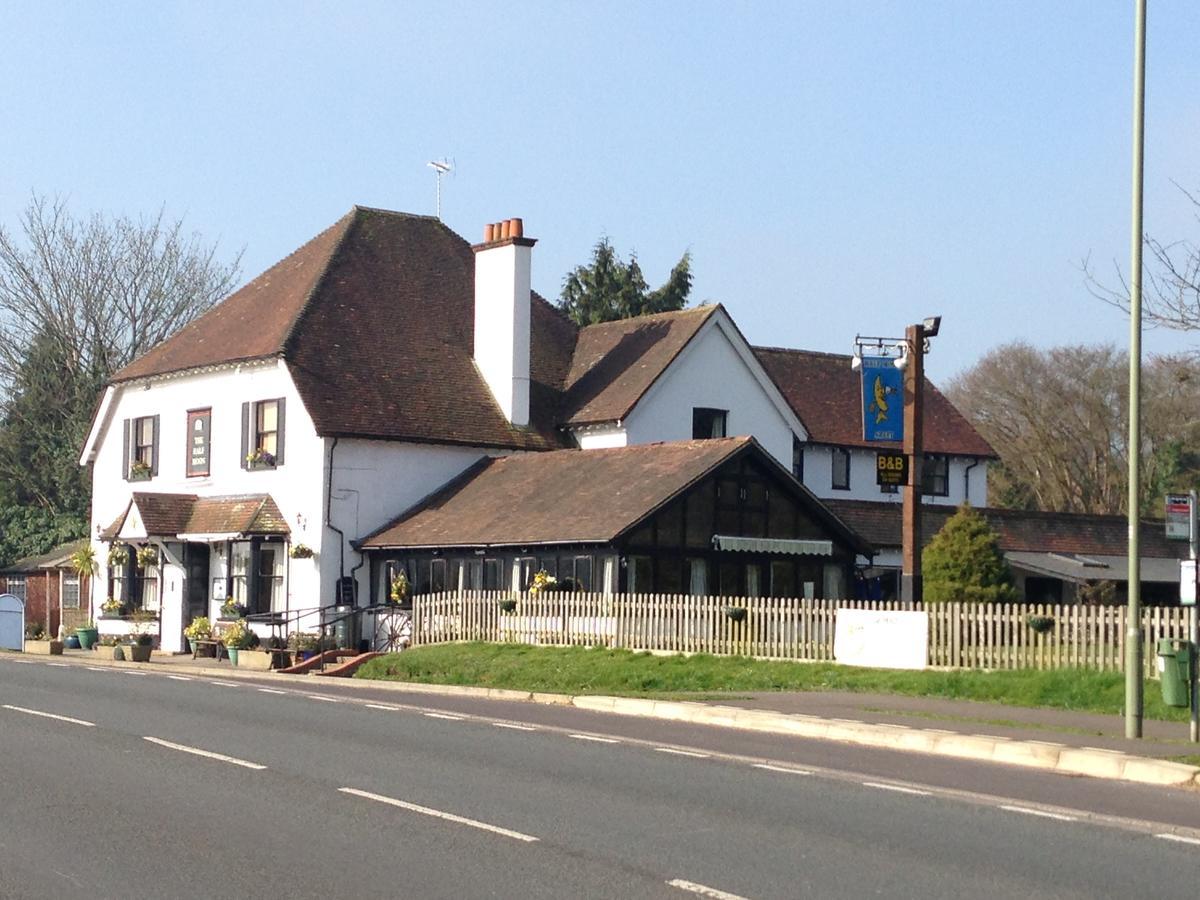 The Half Moon Otel Petersfield Dış mekan fotoğraf